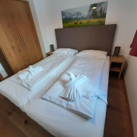 Apartament Alpin Residenz Panoramabahn Kitzbuehel Hollersbach im Pinzgau